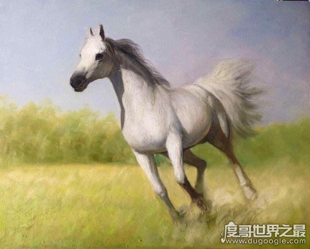 史上最强诡辩白马非马论,出自名家代表人物公孙龙