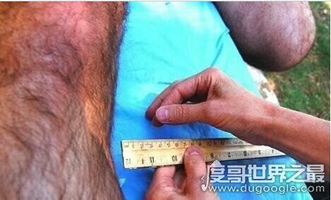 关于男人的15个世界之最,JJ最大的男人竟长达34厘米