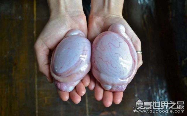 世界上最奇葩的节日，美国睾丸节(美国男人的加油站)