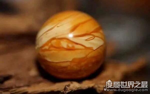 中国三大明珠之一，雮尘珠为什么在献王墓（有长生不老的功效）