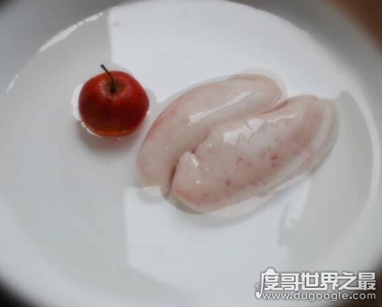 白子是什么东西，白子是鱼身上的哪个部位(指鱼的精巢)