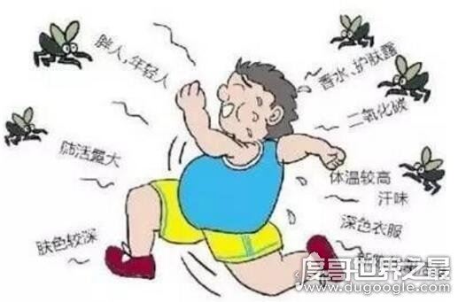什么血型招蚊子？其实和血型无关(蚊子最喜欢汗腺发达的人)