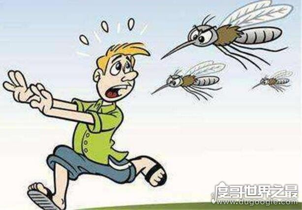 什么血型招蚊子？其实和血型无关(蚊子最喜欢汗腺发达的人)