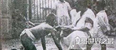 关于印度狼孩的故事，和狼一样行走和嚎叫(由狼抚养长大)