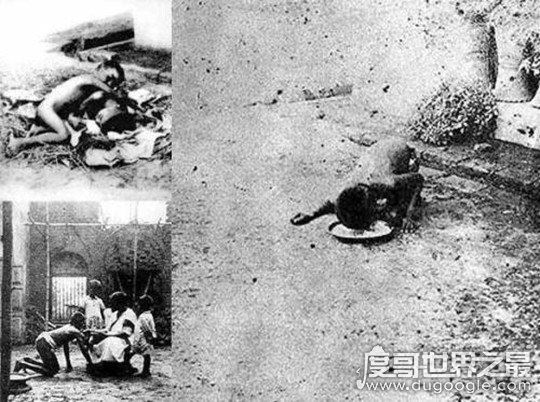 关于印度狼孩的故事，和狼一样行走和嚎叫(由狼抚养长大)