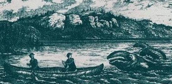 2018年世界十大新物种，美国多佛恶魔形似外星人