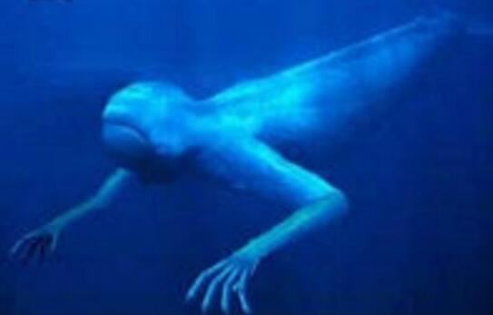 2018年世界十大新物种，美国多佛恶魔形似外星人