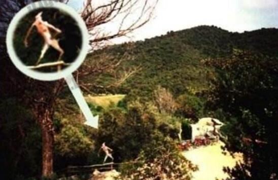 2018年世界十大新物种，美国多佛恶魔形似外星人