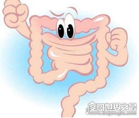 人的肠子有多长？一般在6.5-8.5米之间(附肠道计算公式)