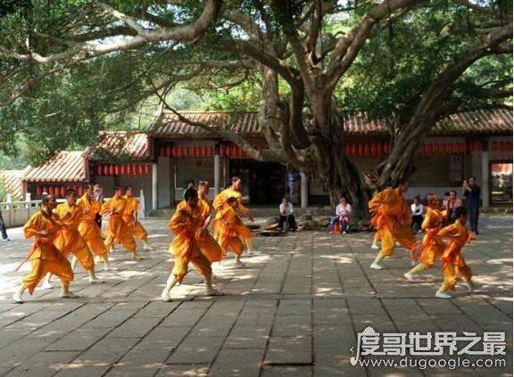 中国最大的少林寺是哪个,嵩山少林寺(中国5大少林寺排名)