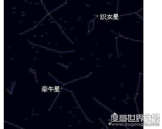 牛郎星属于什么星座，属于天鹰座(是颗白色而明亮的恒星)