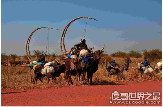 世界第一大洲，亚洲面积是最大(世界7大洲面积排行)