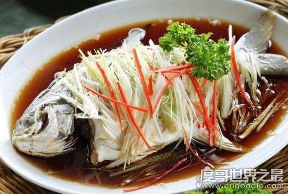 目前世界上的鱼有多少种，光是有名字的鱼就有32100多种