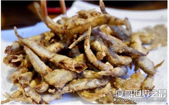 目前世界上的鱼有多少种，光是有名字的鱼就有32100多种