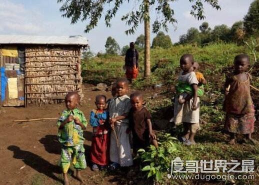世界上最矮小的民族,非洲袖珍民族(俾格米人平均身高1米3)