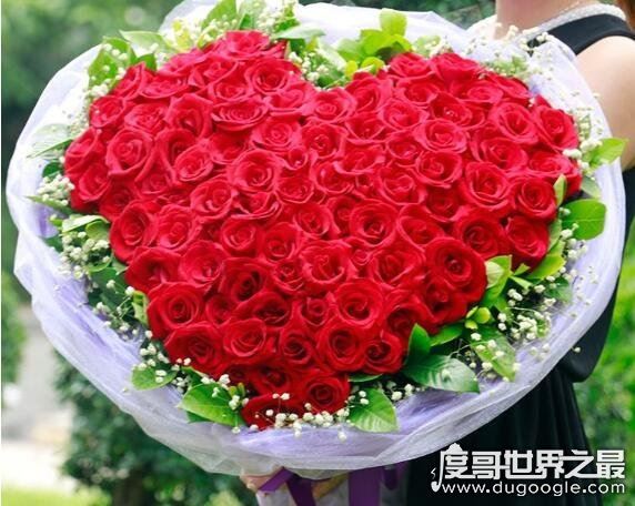 最贵的朱丽叶花坛多少钱，价值300万英镑(观赏性极高的珍惜植物)