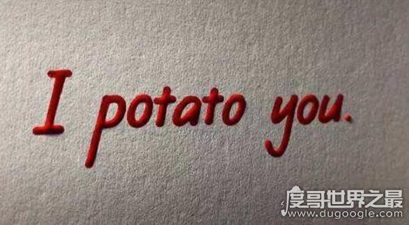 i potato you翻译什么意思,potato什么梗(指我很喜欢你)