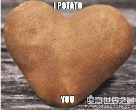 i potato you翻译什么意思，potato什么梗(指我很喜欢你)