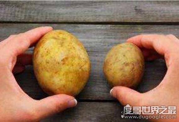i potato you翻译什么意思,potato什么梗(指我很喜欢你)
