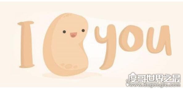 i potato you翻译什么意思，potato什么梗(指我很喜欢你)