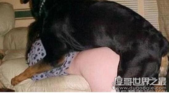 关于性行为的4个分类,现今男男性行为呈增长趋势