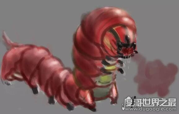 霍氏不死虫真的存在么,现实中已经灭绝(与小说中的并不相关联)