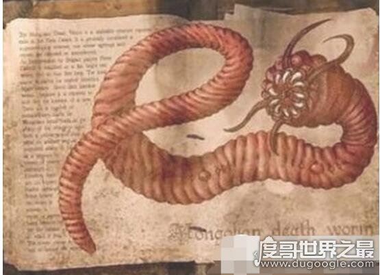 霍氏不死虫真的存在么，现实中已经灭绝(与小说中的并不相关联)