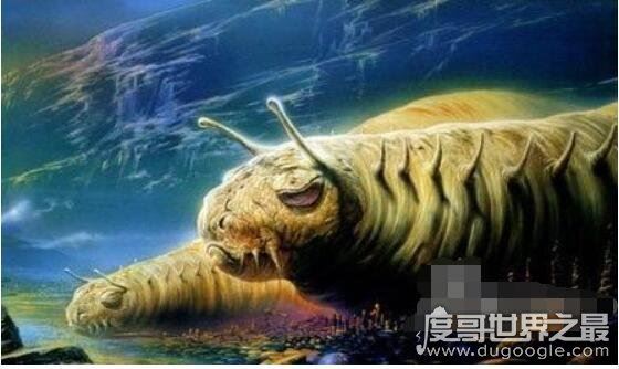 霍氏不死虫真的存在么,现实中已经灭绝(与小说中的并不相关联)