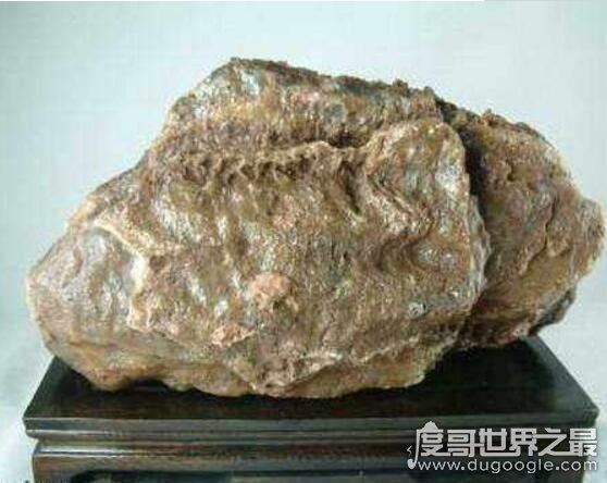 鬼吹灯中的闻香玉真的存在，闻后让人欲罢不能(极为罕见)