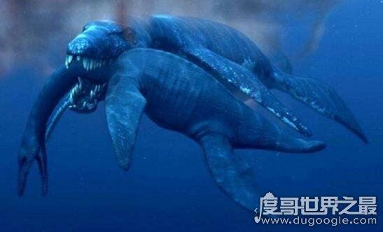 史前顶级掠食者,梅氏利维坦鲸(长达17米/重65吨)