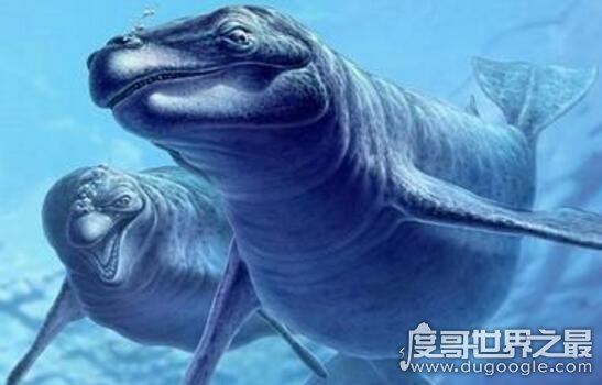 史前顶级掠食者，梅氏利维坦鲸(长达17米/重65吨)