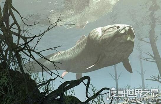 史前顶级掠食者，梅氏利维坦鲸(长达17米/重65吨)