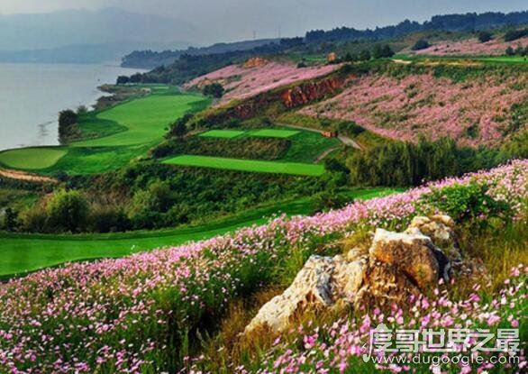 春城是哪个城市,是昆明的别称(云南省会城市)