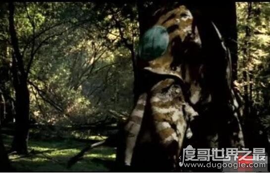 地球2亿年后的生物，大王陆鱿(高8米/能在陆地行走)