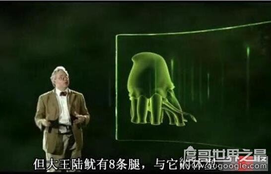 地球2亿年后的生物，大王陆鱿(高8米/能在陆地行走)