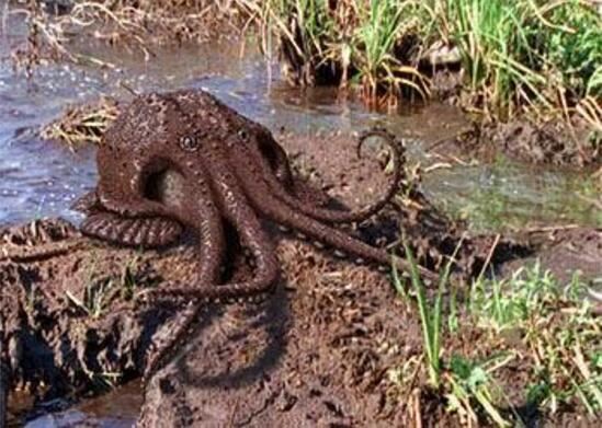 地球2亿年后的生物，大王陆鱿(高8米/能在陆地行走)