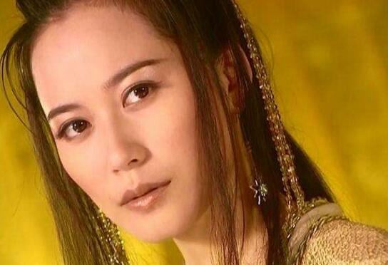 俞飞鸿老公窦文涛结婚了吗,46岁惊鸿仙子不办婚礼