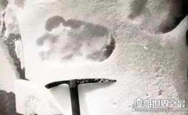 珠峰上的灵异事件，珠峰上有神秘白光人(能解救登山者于危难之中)