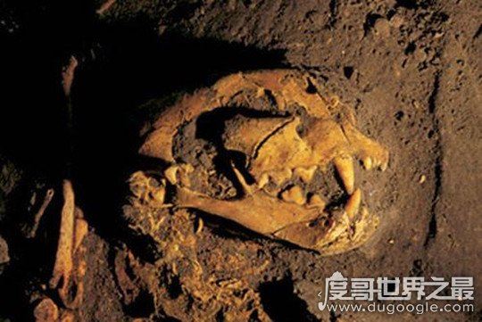 月亮金字塔坐落在哪里，墨西哥城东北(印第安人祭祀月神地方)