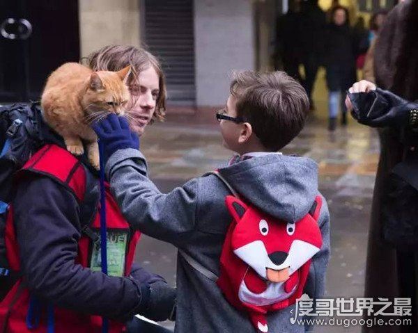 吸猫毒是什么情况,国外一小伙因吸猫毒而戒掉真正的毒品