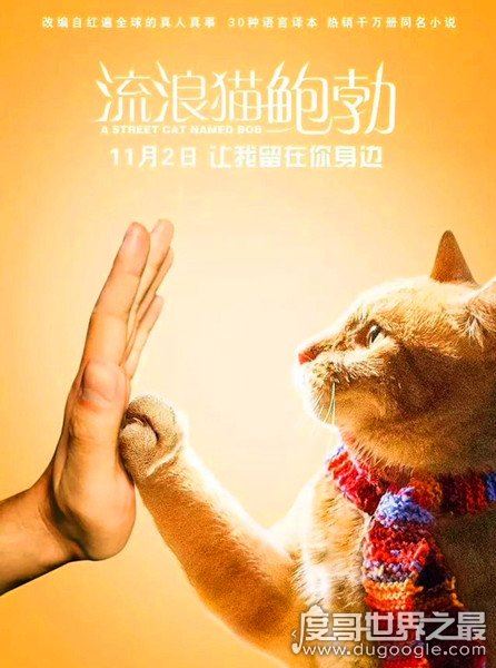 吸猫毒是什么情况，国外一小伙因吸猫毒而戒掉真正的毒品