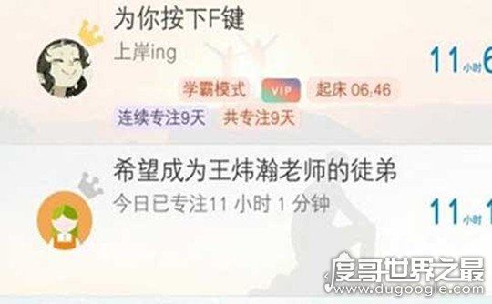 开飞机的贝塔是什么梗，调侃豪哥想要进入乔碧萝(是个污梗)