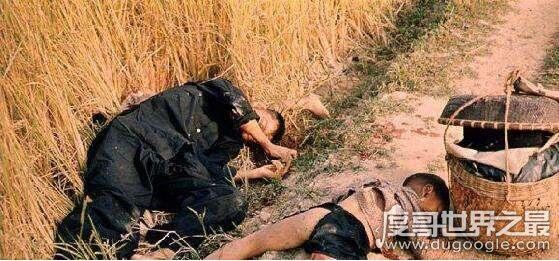 越南美莱村惨案奸杀568人,元凶却得到美国的包庇太可耻