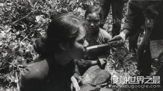 越南美莱村惨案奸杀568人，元凶却得到美国的包庇太可耻