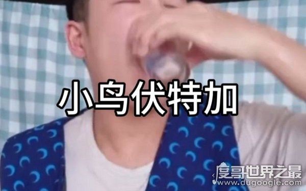 抖音更火遍全网，无情哈拉少是什么意思（东北话与俄语结合体）