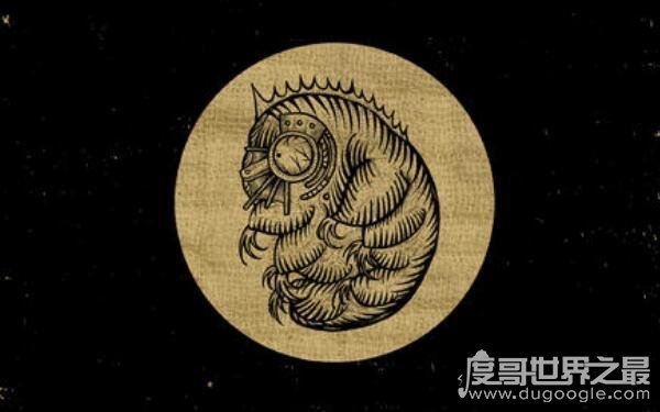 生命力最强的生物,水熊虫寿命是多少年(研究尚在继续)