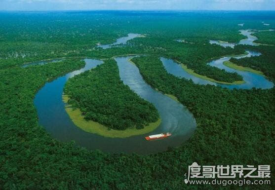 世界六大森林,亚马逊热带雨林乃是地球的绿色心肺
