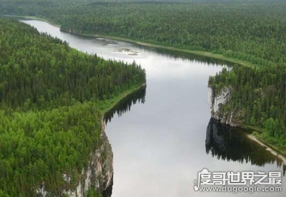 世界六大森林,亚马逊热带雨林乃是地球的绿色心肺