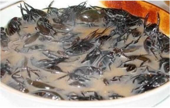 世界上最恶心的食物，油炸毒蜘蛛最“美味“(看了想吐)