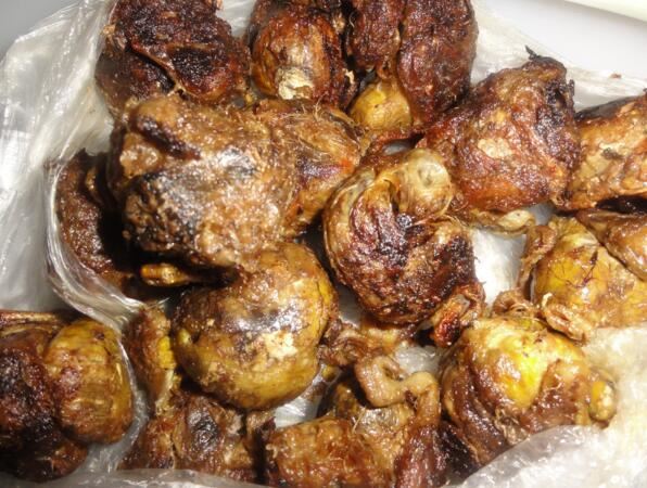 世界上最恶心的食物，油炸毒蜘蛛最“美味“(看了想吐)